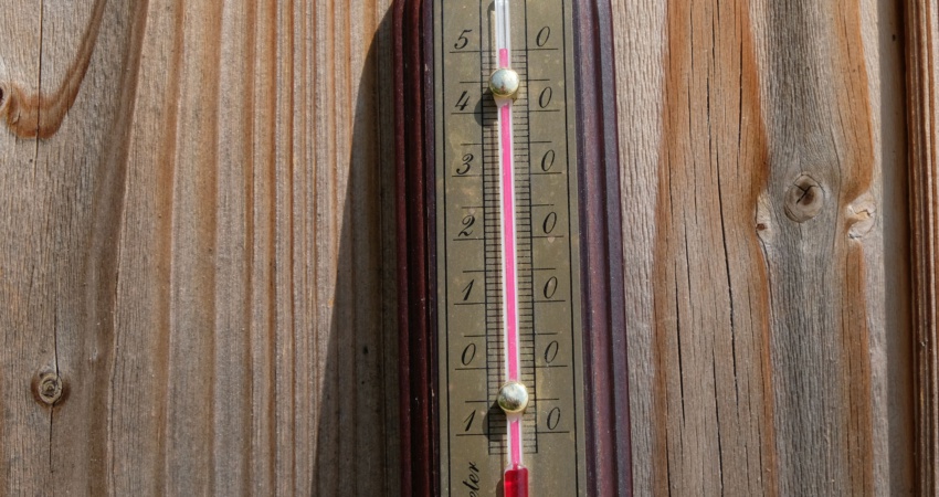 50-Grad 50° Celsius